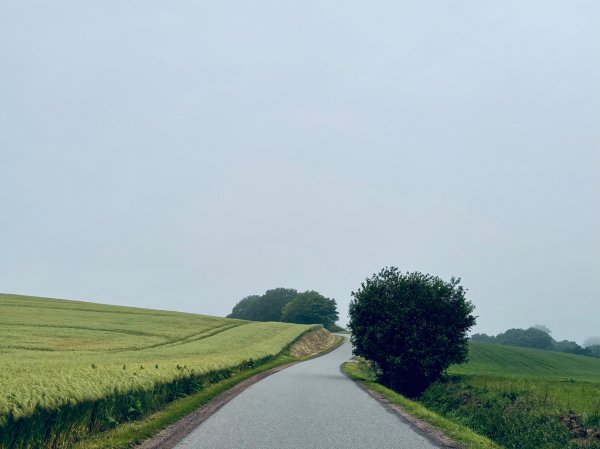 Hügelige Landschaft in der Holsteinischen Schweiz