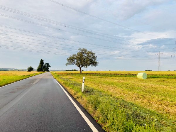 Skyline von Frankfurt am Main im Sonnenaufgang