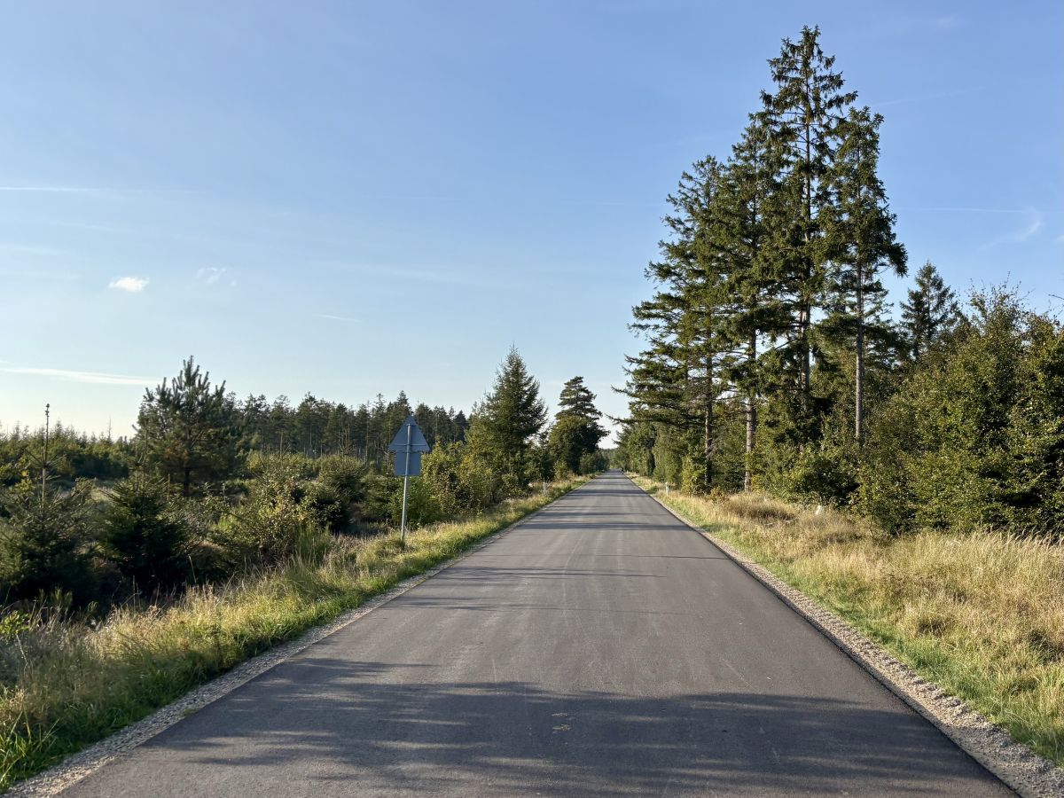 Einsame Straße an der Deutsch-Dänischen Grenze